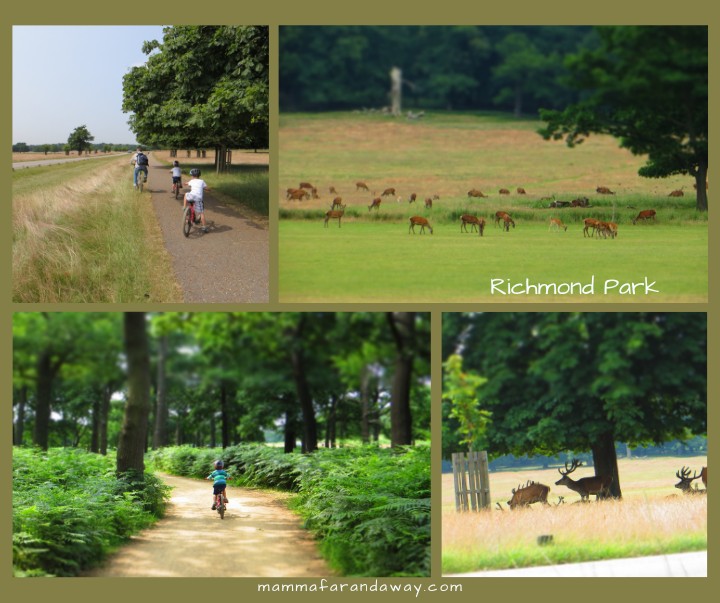 Parco di Richmond