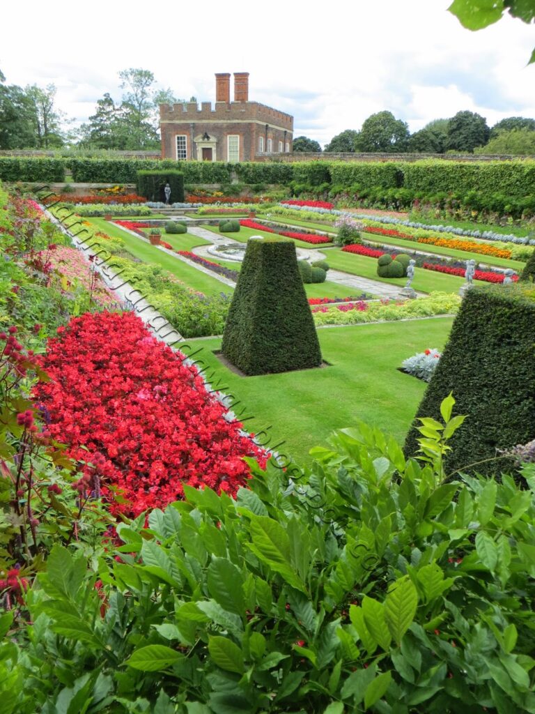 The Pond Gardens