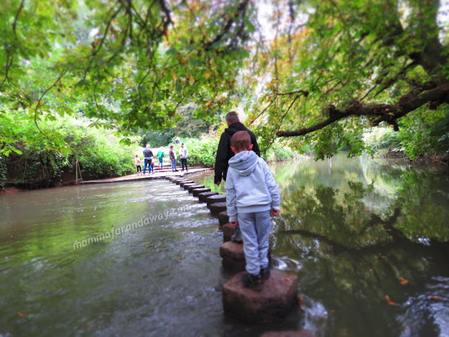 Stepping Stones
