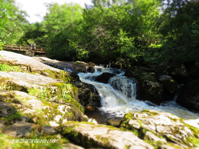 Aira Force