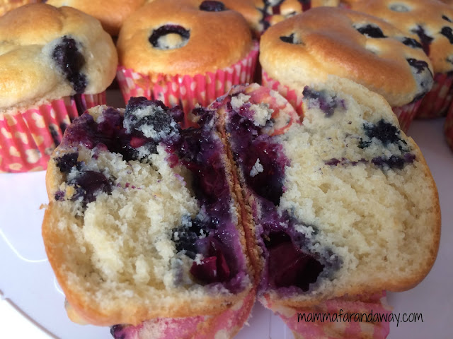 Blueberries Muffins risultato