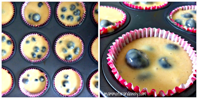 Blueberries Muffins