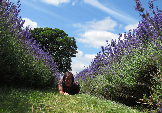 Fabiana e la lavanda