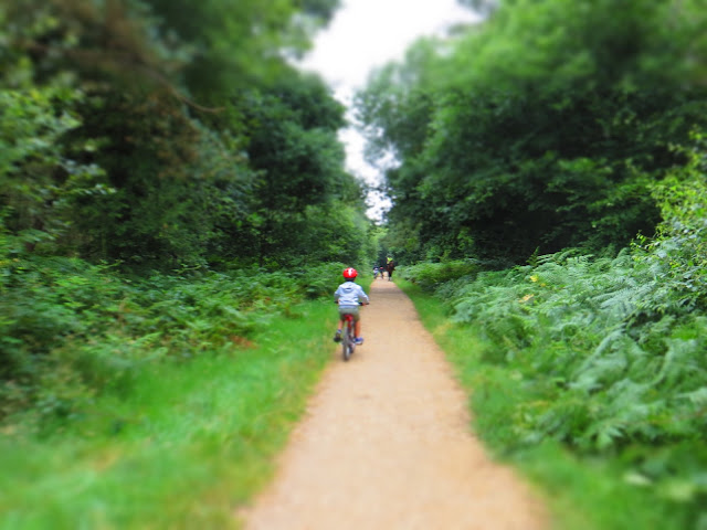 Family Cycle trail
