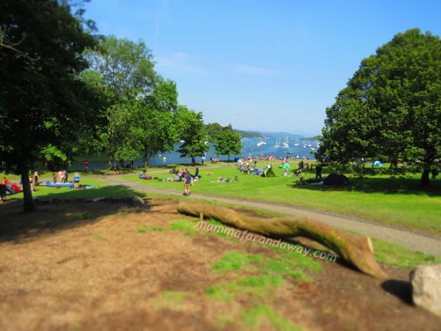 Feel Foot - Windermere