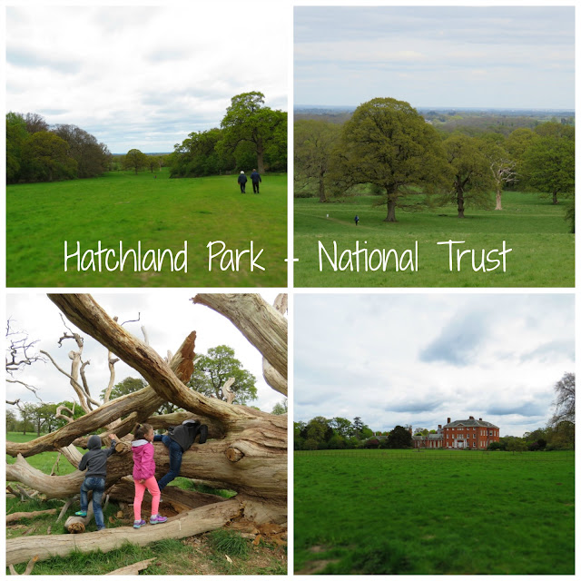 parchi inghilterra Hatchland Park