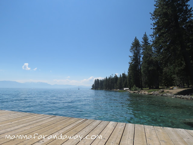 Sugar pines al Lake Tahoe