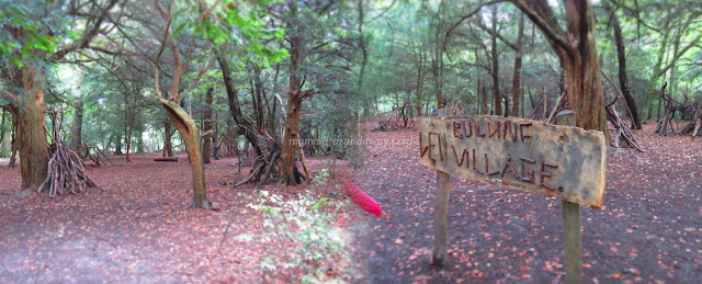 Natural Play Trail bosco