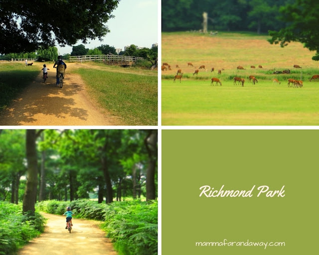 richmond park londra Richmond park