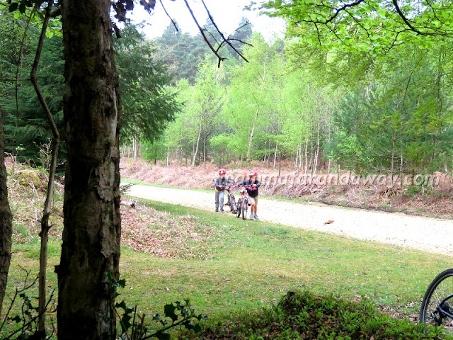 Salita in bici
