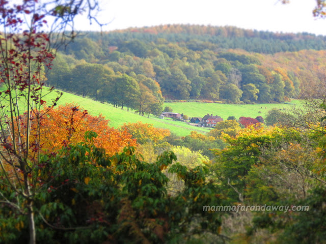 Winkworth Arboretum villaggio