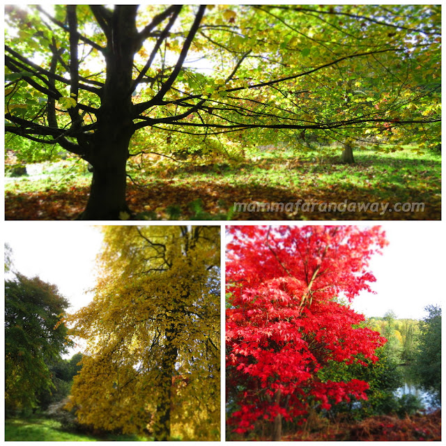 Winkworth Arboretum