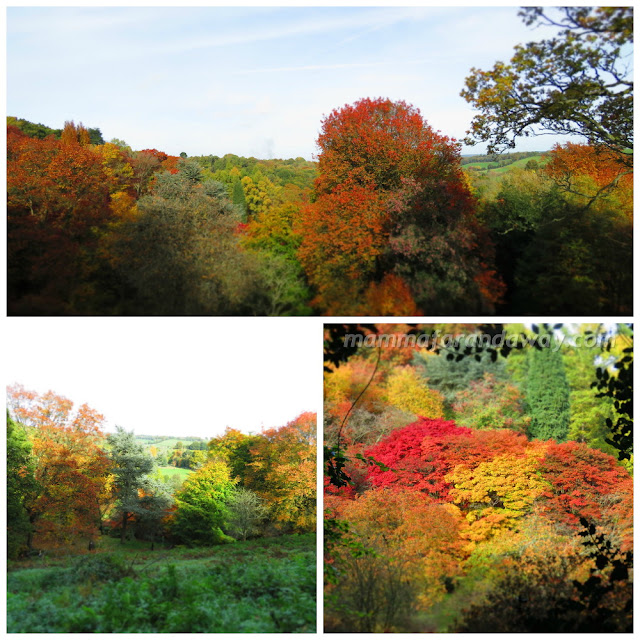 Winkworth Arboretum