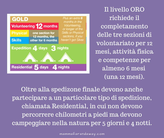 esperienze per adolescenti in Inghilterra dofe livello gold
