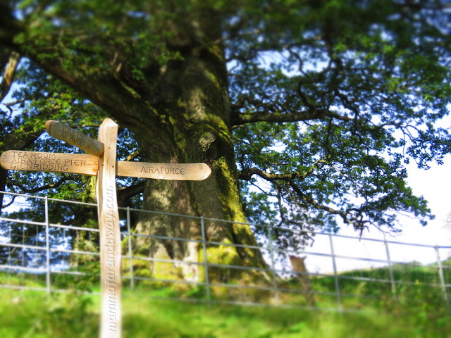 indicazione Aira Force