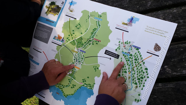mappa Aira Force