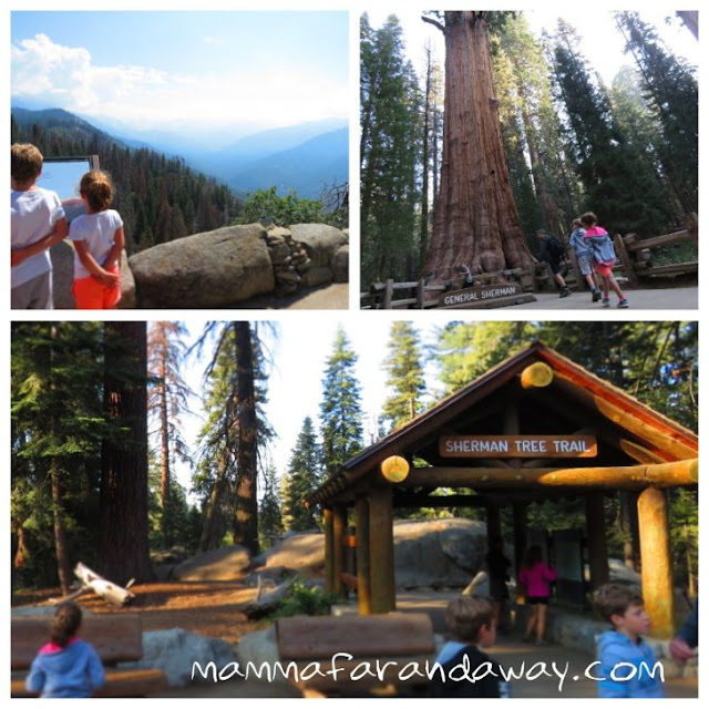 Parco nazionale Kings Canyon sequoia National Park
